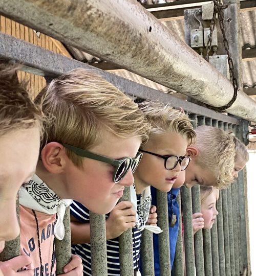 Kinderfeestje Heuvelland Vaals Lemiers Boerderij