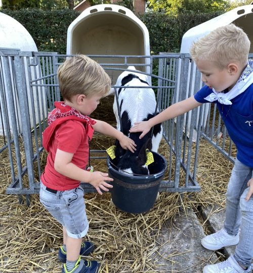 Kinderfeestje Heuvelland Vaals Lemiers Boerderij