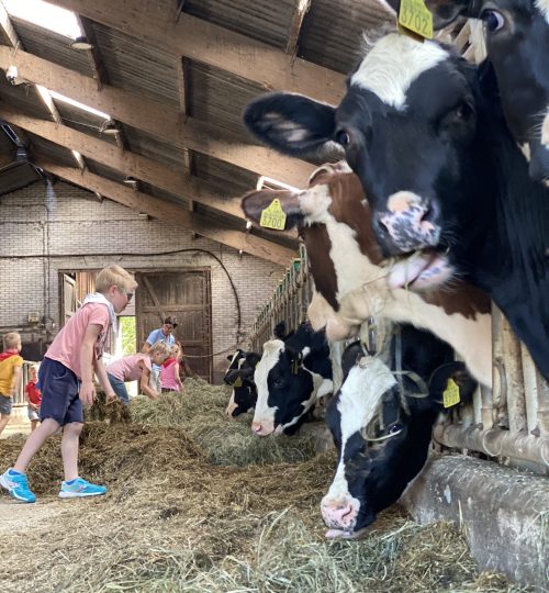 Kinderfeestje Heuvelland Vaals Lemiers Boerderij